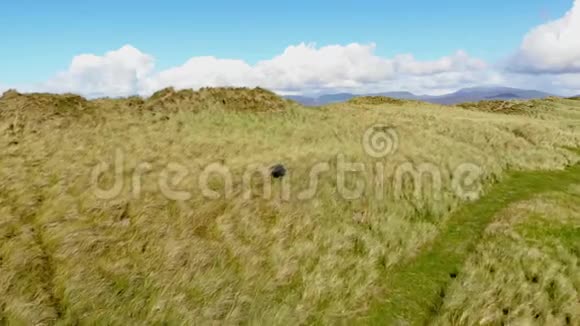 飞越爱尔兰西海岸的草原视频的预览图