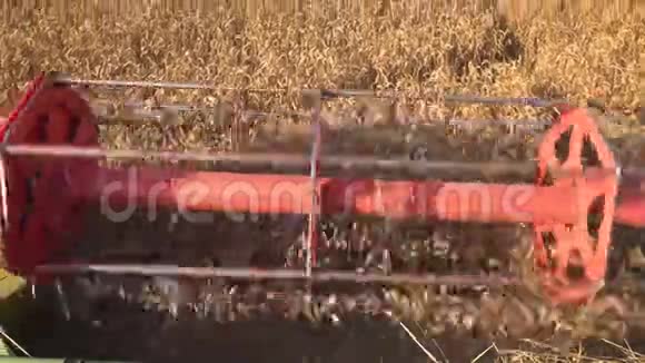 联合收割机关闭联合收割机在日落时收割小麦视频的预览图
