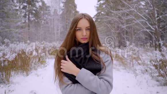 特写一幅年轻漂亮的时尚女士在雪地背景下的冬季公园户外散步的肖像希望视频的预览图