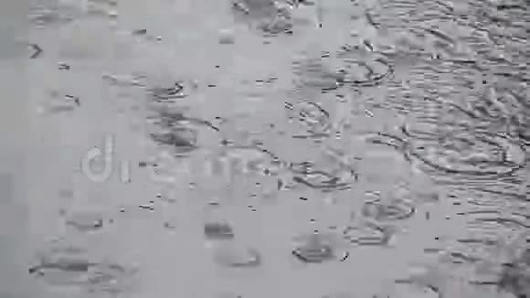 雨水落下来在沼泽中盘旋视频的预览图