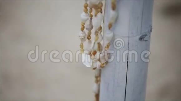 贝壳装饰视频的预览图