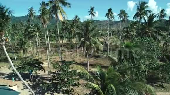 阳光明媚的夏天空中无人机在美丽的热带岛屿上拍摄椰子棕榈树视频的预览图