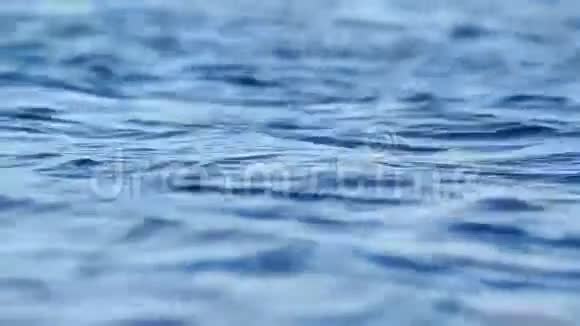 水波荡漾视频的预览图