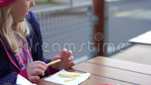 有趣的视频女孩在动物友好的咖啡馆里用薯条喂狗视频的预览图