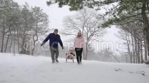 幸福的家庭在下雪的冬天滑雪父亲和母亲在下雪时带着儿子和女儿拉雪橇男孩和女孩视频的预览图