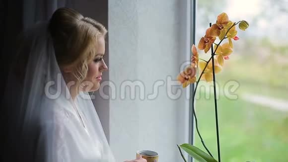 女孩在靠近窗户的杯子里喝酒视频的预览图