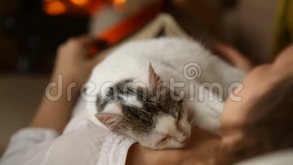在壁炉旁放松的女人睡在胸前的小猫视频的预览图