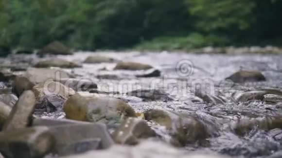 干净的水在石河中流动得很近山河的水流视频的预览图