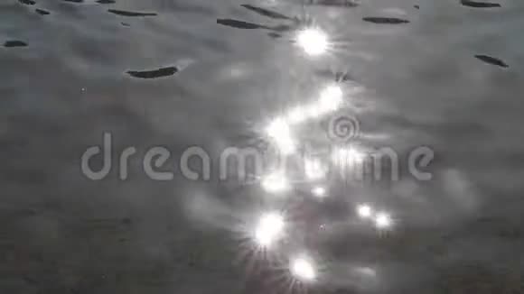 水面闪闪发光闪闪发光视频的预览图