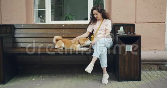 街边咖啡厅坐在长凳上爱抚石巴因犬的女主人视频的预览图