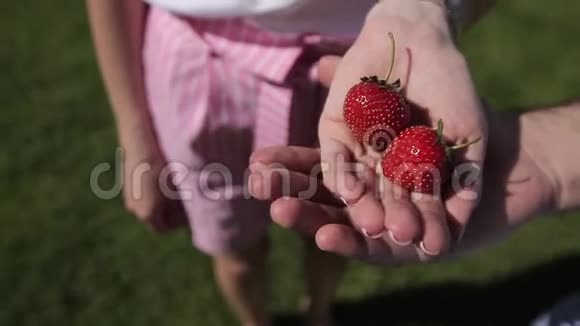 一个男人把草莓握在你的手掌里视频的预览图