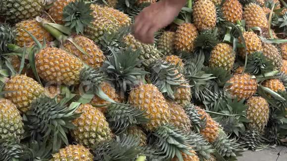 手从曼谷街头市场的大堆中挑选菠萝视频的预览图