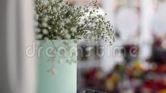 花瓶里的石膏花视频的预览图
