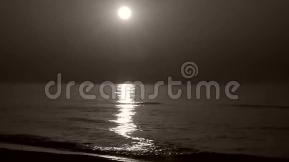 日出时在海边散步的一位女士的剪影视频的预览图