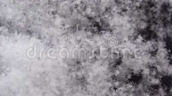 当冬季来临暖春来临时白色雪花在黑色背景上融化的特写镜头视频的预览图