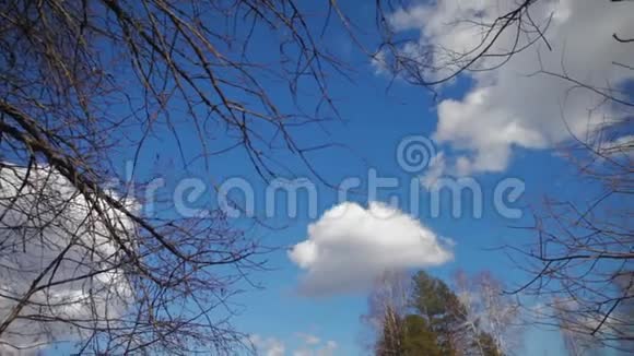 天空天空中有云在前景的树枝上没有叶子视频的预览图