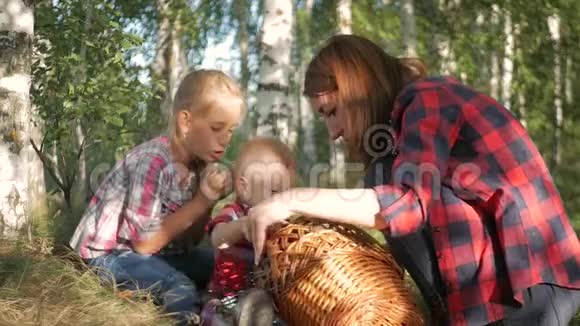 妈妈带着孩子去森林里采蘑菇视频的预览图