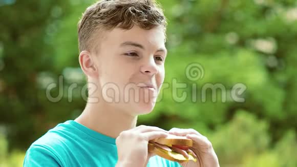 小男孩吃三明治视频的预览图