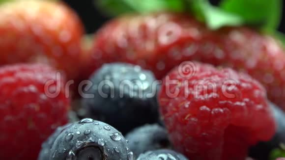 森林水果覆盆子草莓黑莓小红莓和绿叶的细节视频的预览图
