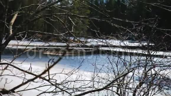 春天冰冻的湖面上解冻的斑块视频的预览图
