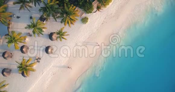 在沙滩上俯瞰海浪雨伞绿棕榈视频的预览图