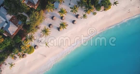 在沙滩上俯瞰海浪雨伞绿棕榈视频的预览图