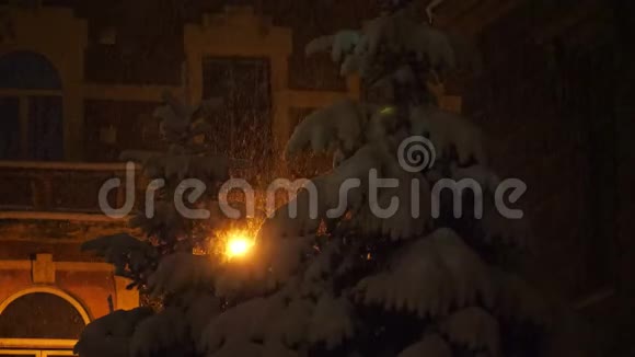 在一场大雪中房子背景上覆盖着雪的森林视频的预览图