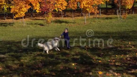 欧洲外表的快乐小男孩正在秋天公园里和一只漂亮的大狗玩耍慢动作视频的预览图