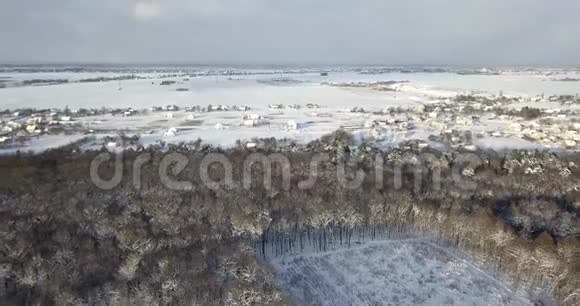 鸟瞰雪林覆盖雪附近的乡村建筑飞过冰冻的雪杉和松树视频的预览图