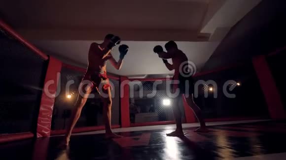 在八角形环中的MMA战士进行战斗视频的预览图