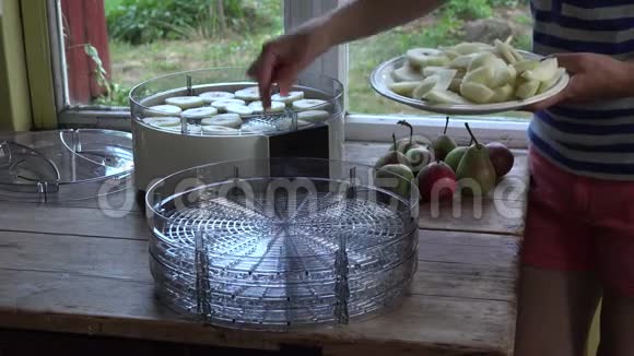 女性手把新鲜的梨果片放在烘干机托盘上4K视频的预览图