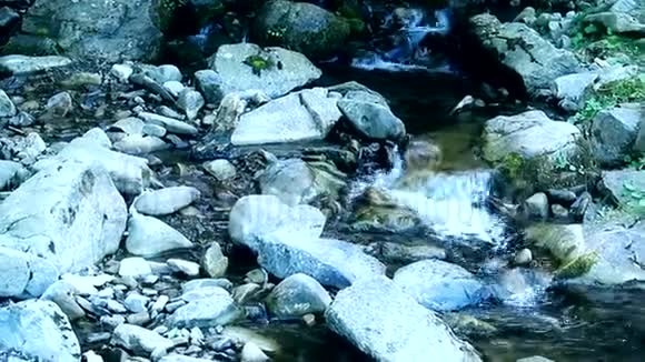 山溪小瀑布的级联全景视频视频的预览图