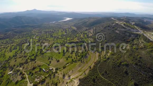 塞浦路斯Troodos山上橄榄树的壮丽景观视频的预览图
