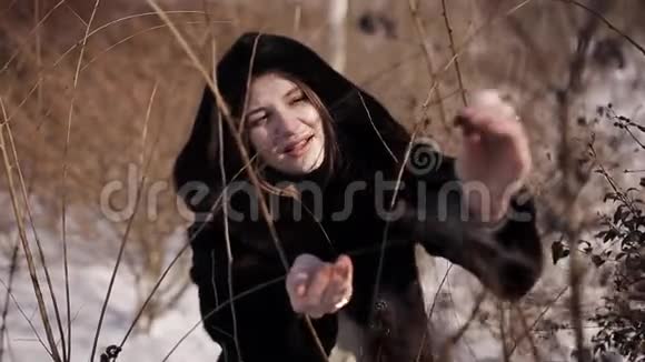 穿着皮毛大衣的女孩冬天从灌木丛中摘下黑色浆果视频的预览图