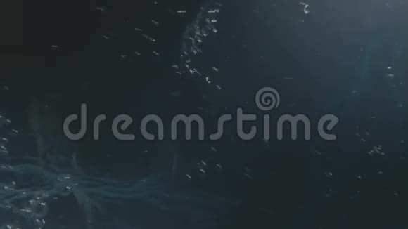 深蓝水中的气泡视频的预览图