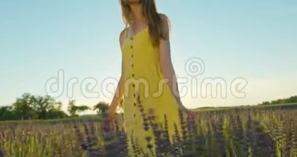 蓝色花朵领域的年轻女士视频的预览图