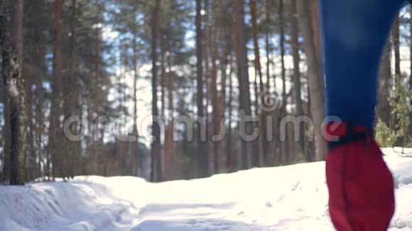 在森林里的雪道上行走的女游客视频的预览图