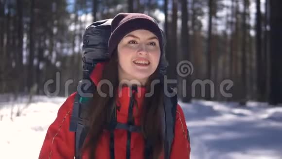 迷人的女性徒步旅行者在冬天的森林里用照片相机在覆盖着雪的树木下行走视频的预览图