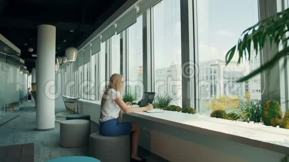 女商人在新办公室用笔记本电脑工作现代办公室中女性坐在靠窗的桌子旁视频的预览图