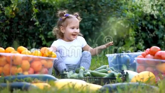 小女孩吃蔬菜农业的收获孩子是素食主义者素食成熟番茄西葫芦和视频的预览图