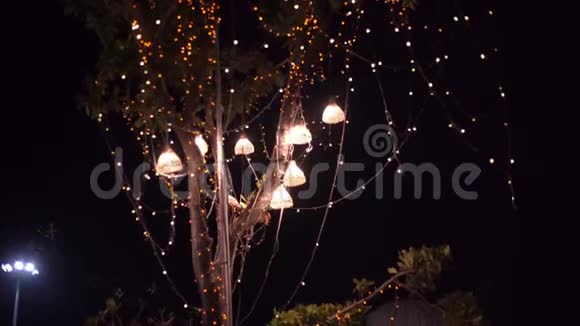 背景灯泡户外电线与黄昏森林假日概念视频的预览图