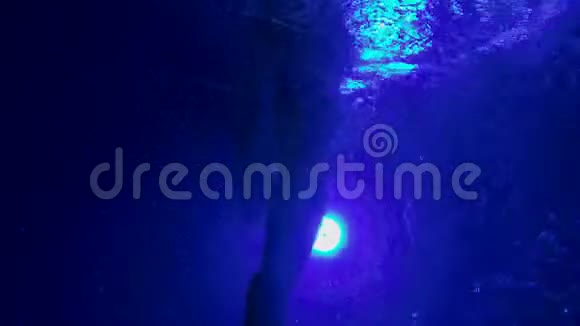 年轻孕妇夜间在游泳池游泳光照充足穿着蓝色泳衣做运动的女孩视频的预览图