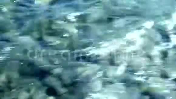 山区河流中的透明水流特写视频视频的预览图