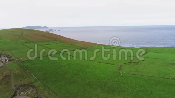 飞越典型的爱尔兰草原视频的预览图
