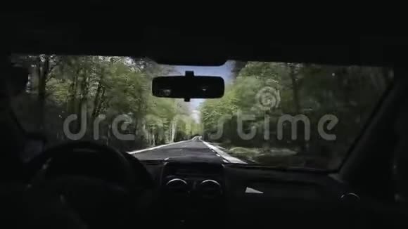 一个人开车沿着绿树大道的后景视频的预览图