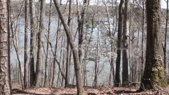 格鲁吉亚阿拉图纳湖阿拉图纳湖和从山顶和通过树木的马里纳视频的预览图