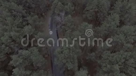 一架飞越松林和一条汽车经过的路上的飞机旅行视频的预览图
