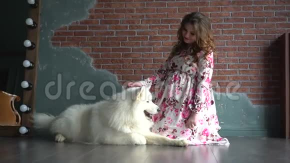 美丽的孕妇坐在地板上抚摸着大白狗视频的预览图