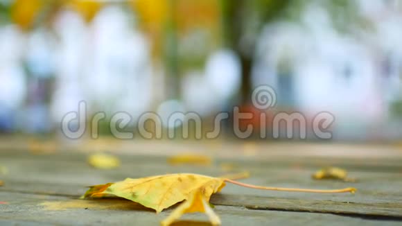 秋天的枫叶落在木桌上视频的预览图