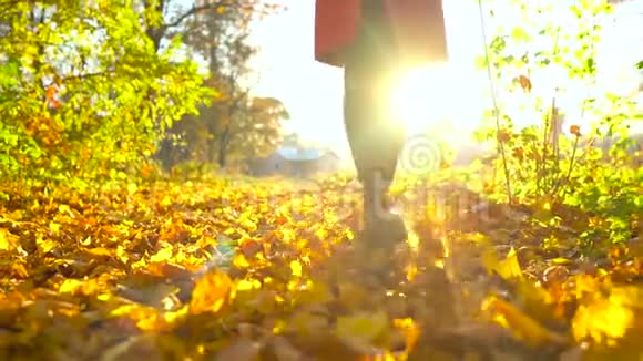 一个穿着黑色靴子的女人的腿穿过秋天的森林黄色的叶子飞来飞去慢动作视频的预览图